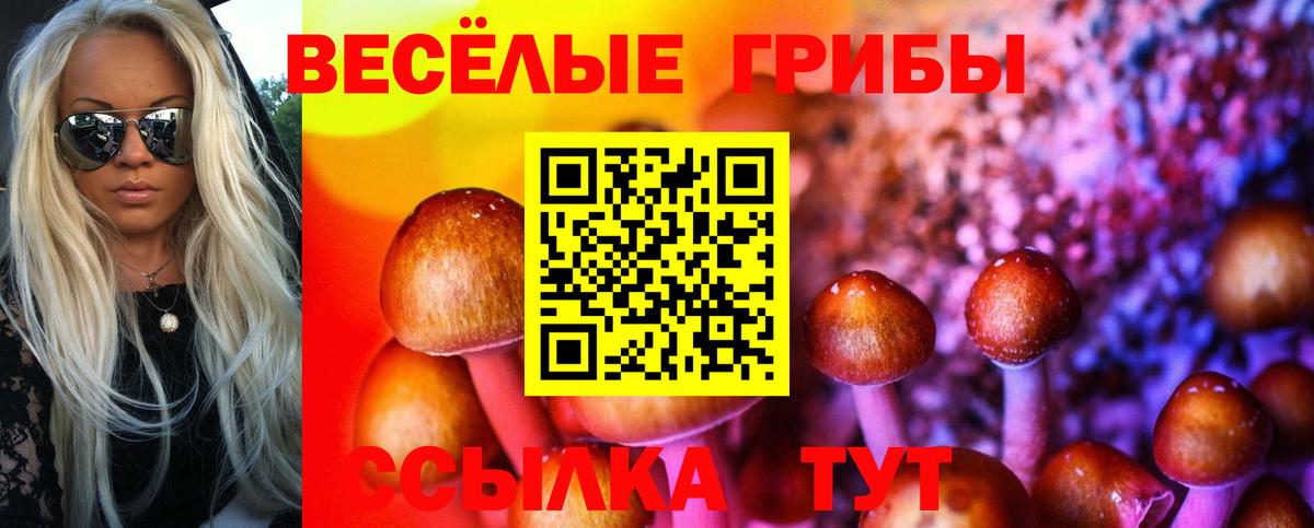 Псилоцибиновые грибы GOLDEN TEACHER Надым
